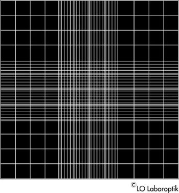 Zhlkammer Neubauer Bright - Lined