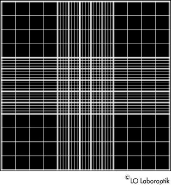 Zhlkammer Neubauer - Improved Bright - Lined