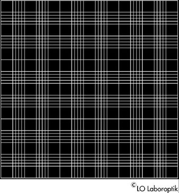 Zhlkammer Schilling - Einheitsnetz Bright - Lined